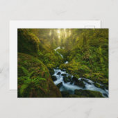 Wasserfälle | Olympic National Park, Washington Postkarte (Vorne/Hinten)