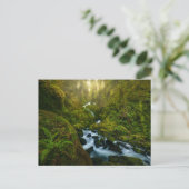 Wasserfälle | Olympic National Park, Washington Postkarte (Stehend Vorderseite)