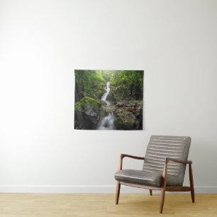 Wasserfälle Phayao Mountain National Park Wandteppich