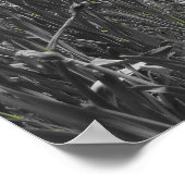 Wasserfälle Poster (Ecke)