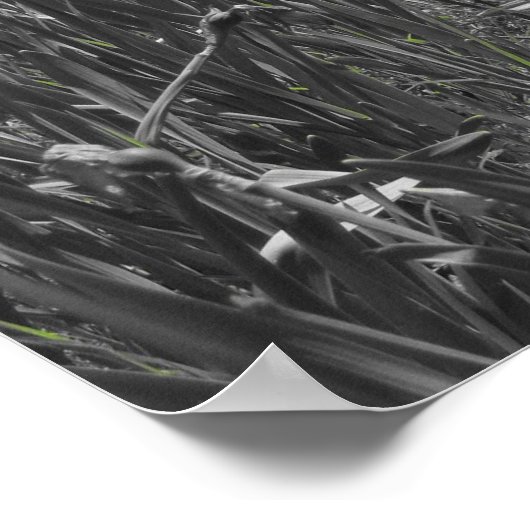 Wasserfälle Poster (Ecke)