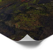 Wasserfälle | Regenbogenfälle, Hilo, Hawaii Poster (Ecke)