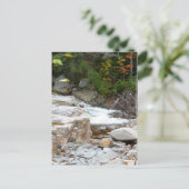 Wasserfälle Rocky Stream Postkarte (Stehend Vorderseite)