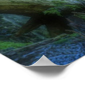 Wasserfälle | Shinmata Ravine, Japan Poster (Ecke)