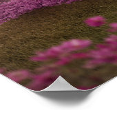 Wasserfälle und Kirchen Bäume um den See Poster (Ecke)