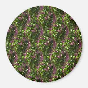 Wasserfälle von Lilac... Magnet