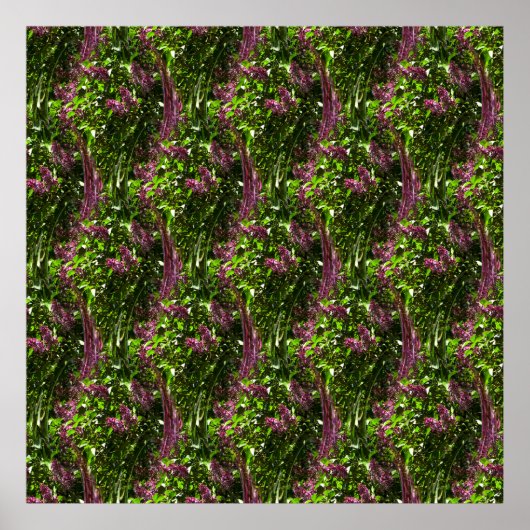 Wasserfälle von Lilac... Poster (Vorne)