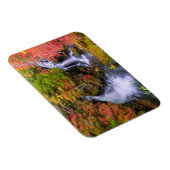 Wasserfälle | Wasserfälle Nikko Japan Fall Magnet (Rechte Seite)