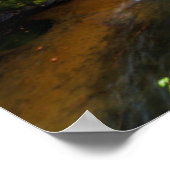 Wasserfälle | Wasserfälle Nikko Japan Fall Poster (Ecke)