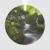 Wasserfälle | Wasserfälle Satoyama Kisakata Ornament (Rückseite)