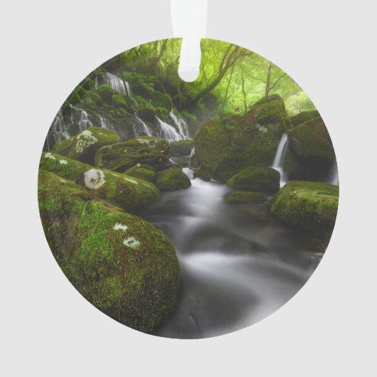 Wasserfälle | Wasserfälle Satoyama Kisakata Ornament (Rückseite)