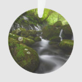 Wasserfälle | Wasserfälle Satoyama Kisakata Ornament (Vorderseite)