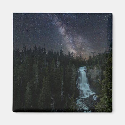 Wasserfälle | Whistler Olympischer Park Magnet (Vorne)