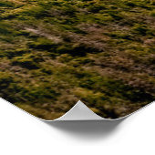 Wasserfälle | Yosemite Valley National Park Poster (Ecke)