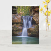 Wasserfälle | Zedernfälle, Ohio Karte (Gelbe Blume)