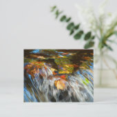 Wasserfallende Blätter Postkarte (Stehend Vorderseite)