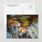 Wasserfallende Blätter Postkarte (Vorne/Hinten)
