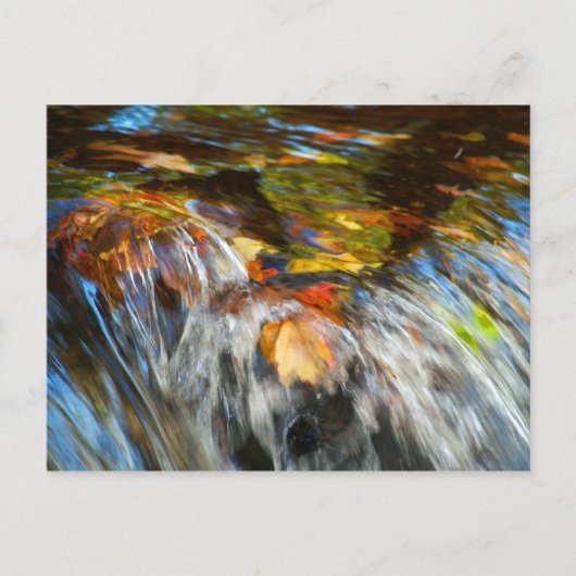 Wasserfallende Blätter Postkarte (Vorderseite)