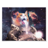 Wasserfallkatze Fotodruck (Vorne)