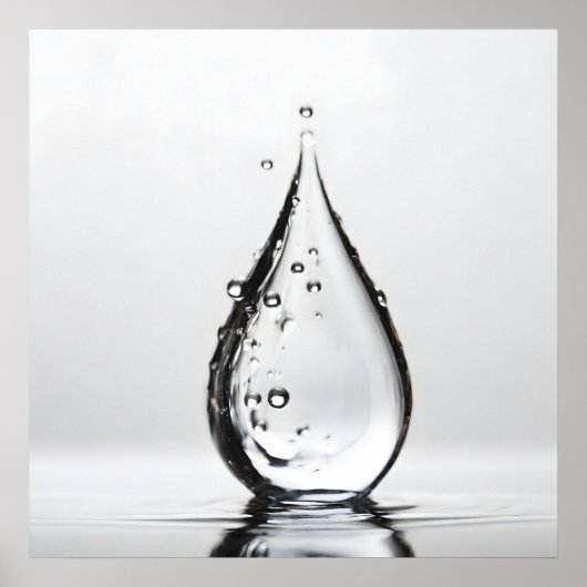 WasserfallmakMakro Poster (Vorne)