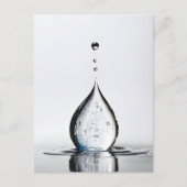 WasserfallmakMakro Postkarte (Vorderseite)