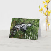 Wasserfallnotecard Karte (Gelbe Blume)