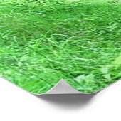 Wasserfallposter Poster (Ecke)