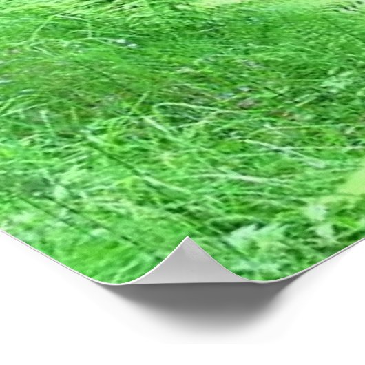 Wasserfallposter Poster (Ecke)
