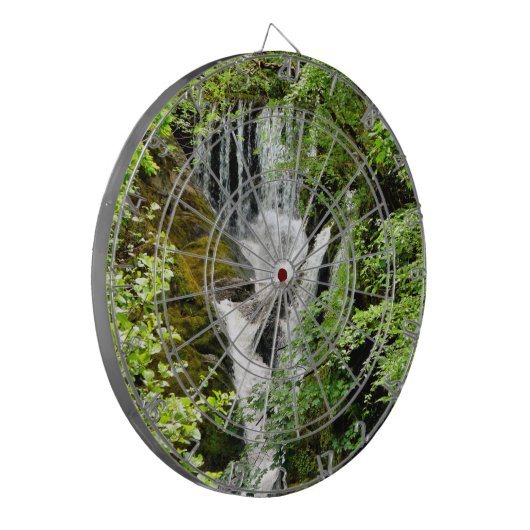 WASSERFALLS DARTSCHEIBE (Vorderseite Links)