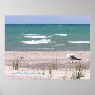 Wasserfarbdruck Möwenstrand Poster
