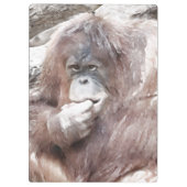 Wasserfarbe 2 klemmbrett (Rückseite)