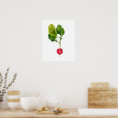Wasserfarbe Bio Radieschen Poster (Küche)