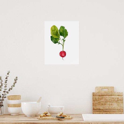 Wasserfarbe Bio Radieschen Poster (Küche)
