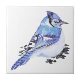 Wasserfarbe Blau Jay Bird Naturschutz Kunst Fliese