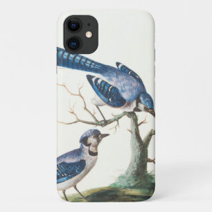 Wasserfarbe Blau Jay Vögel Kunst Case-Mate iPhone Hülle