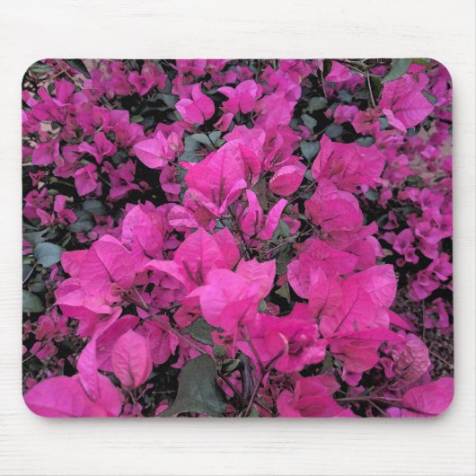 Wasserfarbe Bougainvillea Maus Pad Mousepad (Vorne)