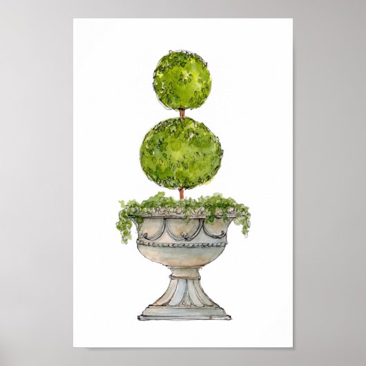 Wasserfarbe Boxwood Topiary in antiker Urne Poster (Vorne)
