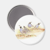 Wasserfarbe California Wachteln, Vogel, Natur, Tie Magnet (Vorderseite/Rückseite)