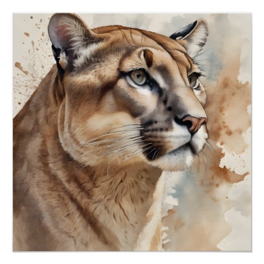 Wasserfarbe Cougar 4 Poster (Vorderseite)
