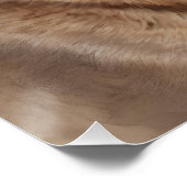 Wasserfarbe Cougar 4 Poster (Ecke)