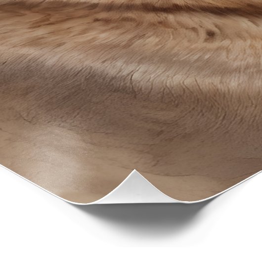 Wasserfarbe Cougar 4 Poster (Ecke)