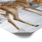 Wasserfarbe der Hirsche Poster (Ecke)