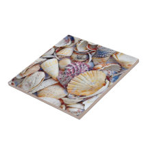 Wasserfarbe der Muscheln Ocean Beach