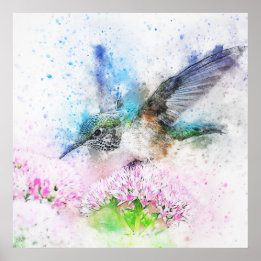 Wasserfarbe des Kolibris Poster
