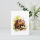 Wasserfarbe Echidna in natürlicher Umgebung Postkarte (Stehend Vorderseite)