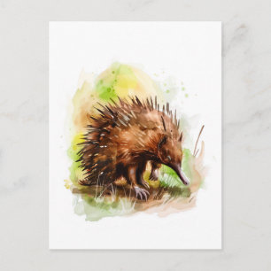Wasserfarbe Echidna in natürlicher Umgebung Postkarte