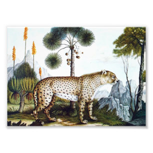 Wasserfarbe einer Geparden (Zotl) Fotodruck