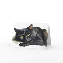 Wasserfarbe Halloween Black Cat