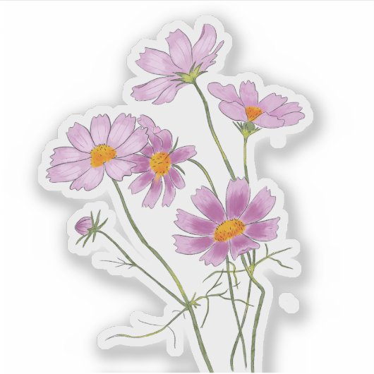 Wasserfarbe Handgemalt Elegant Rosa Kosmos Aufkleber (Vorderseite)