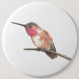 Wasserfarbe Hummingvogel Button